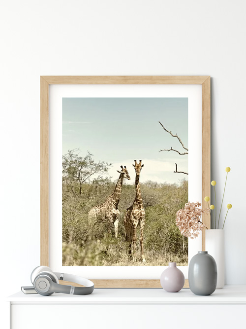 Γνωρίστε όλο τον κόσμο με την ταξιδιωτική μας συλλογή