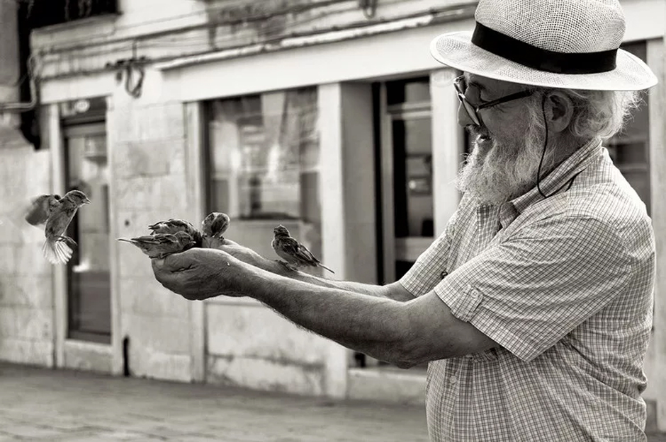 Πολύ απλά ζωή