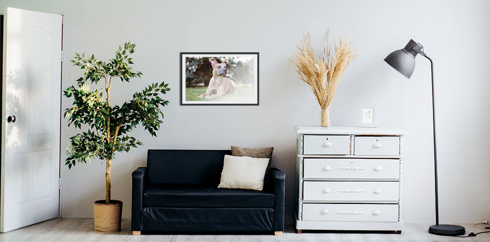 Kako sami isprintati postere?